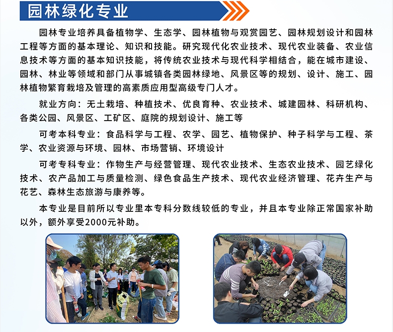 园林.png